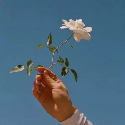 大话西游2345版本下载